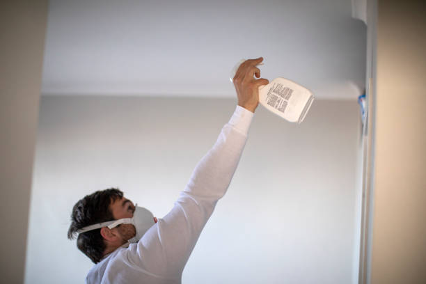 Best Water Damage Restoration  in Huntgburg, IN