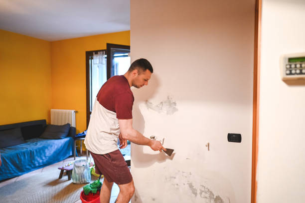 Best Affordable Mold Removal  in Huntgburg, IN
